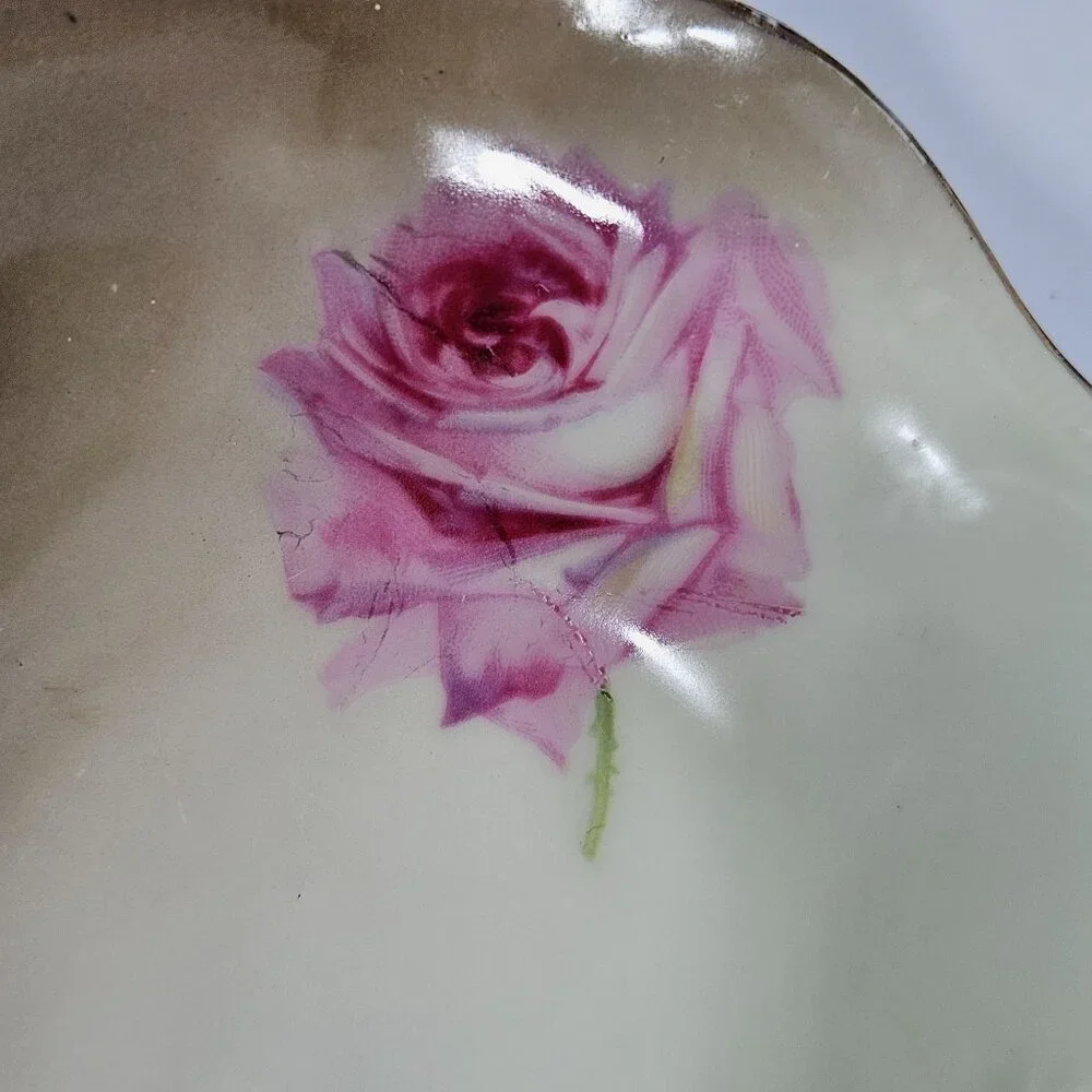Vintage Mignon ZS and Co Bavaria Porcelain Rose Pattern Oval Celery Serving Dish